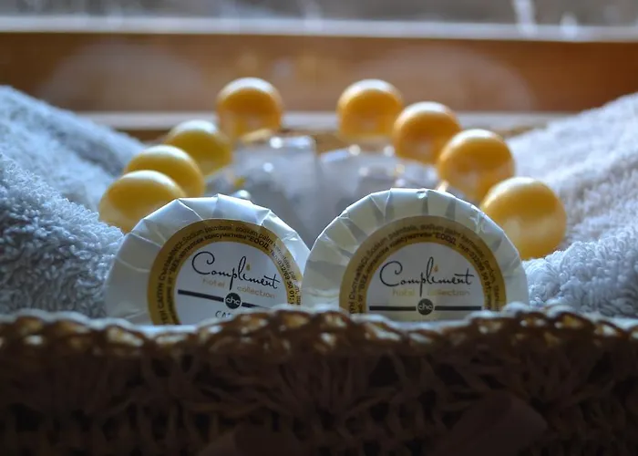 Secession Style Appartement Sofia