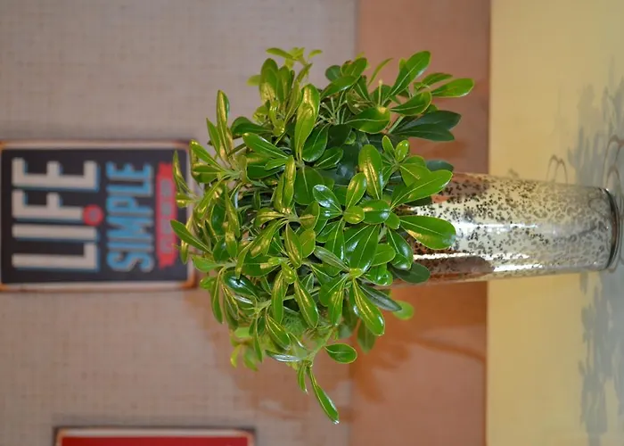 Appartement Secession Style Sofia